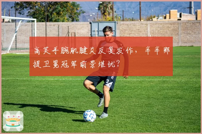 高芙手腕肌腱炎反复发作，辛辛那提卫冕冠军前景堪忧？