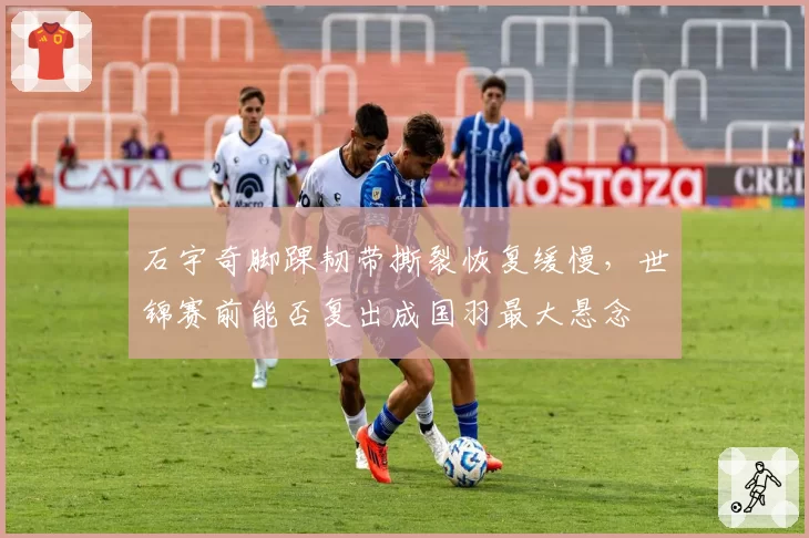 石宇奇脚踝韧带撕裂恢复缓慢,世锦赛前能否复出成国羽最大悬念
