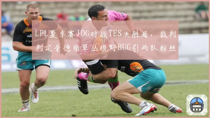 LPL夏季赛JDG对战TES决胜局，裁判判定奈德丽草丛视野BUG引两队粉丝激烈对骂