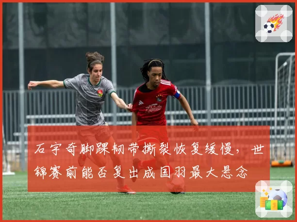 石宇奇脚踝韧带撕裂恢复缓慢,世锦赛前能否复出成国羽最大悬念
