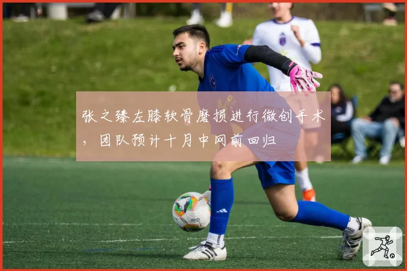 张之臻左膝软骨磨损进行微创手术，团队预计十月中网前回归
