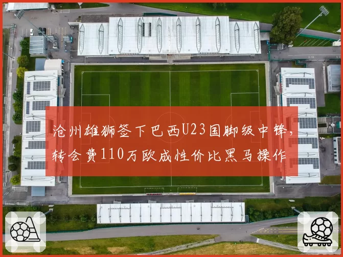 沧州雄狮签下巴西U23国脚级中锋，转会费110万欧成性价比黑马操作