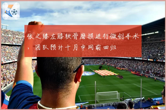 张之臻左膝软骨磨损进行微创手术，团队预计十月中网前回归